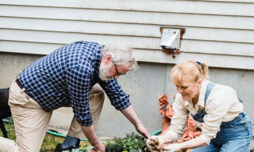 Gardening To Stay Fit